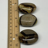 144.5g, 1.7"-1.8", 3pcs, Septarian Nodule Palm-Stone Polished Reiki Crystal, B28