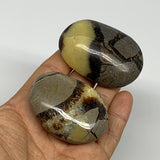 158.48g, 2.2"-2.3", 2pcs, Septarian Nodule Palm-Stone Polished Reiki Crystal, B2