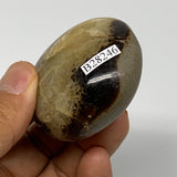 90.9g,2"x1.9"x1", Septarian Nodule Palm-Stone Polished Reiki, B28246