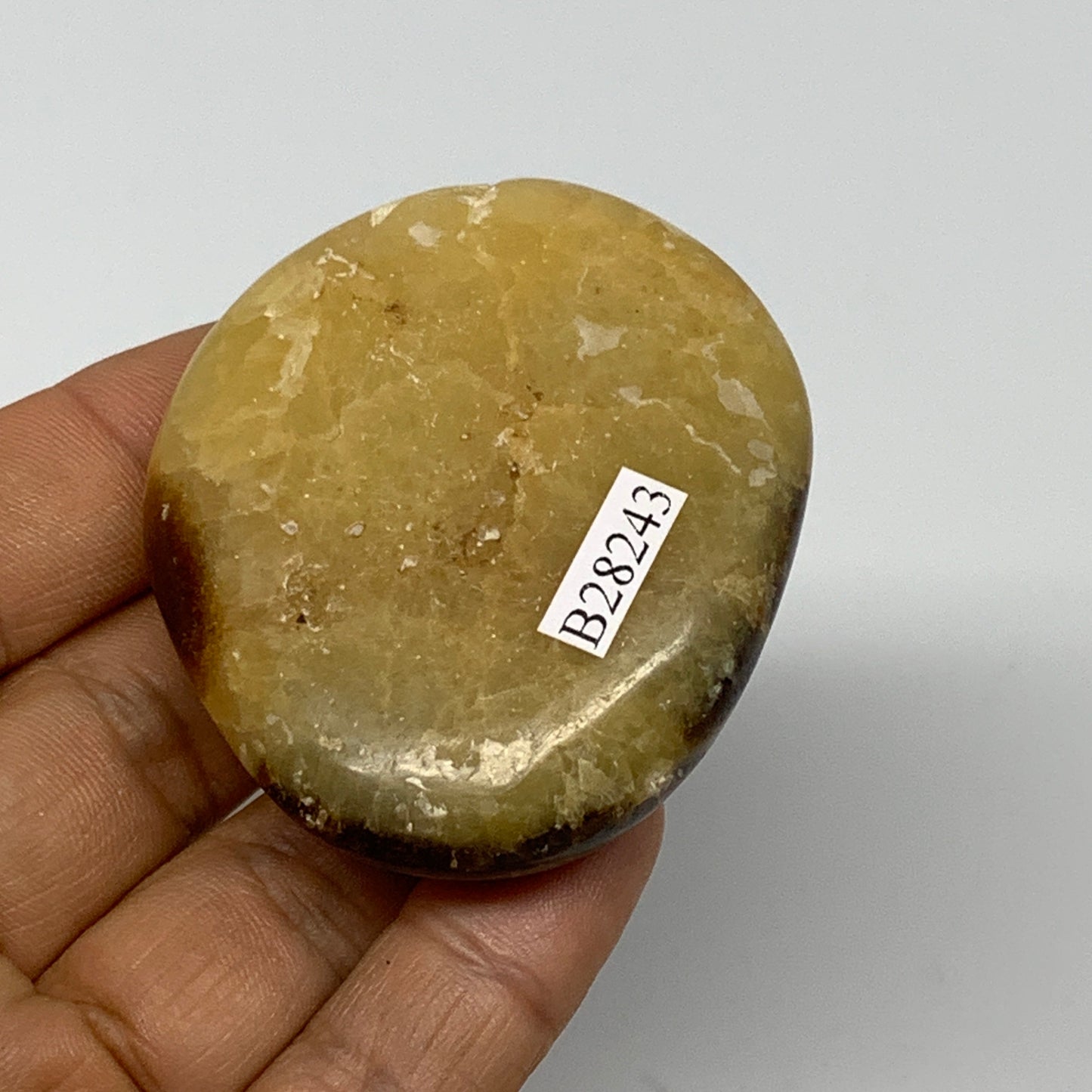 79.9g, 2.2"x1.9"x0.8", Septarian Nodule Palm-Stone Polished Reiki, B28243