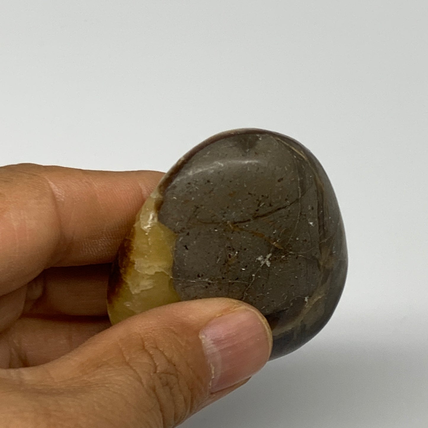 79.9g, 2.2"x1.9"x0.8", Septarian Nodule Palm-Stone Polished Reiki, B28243