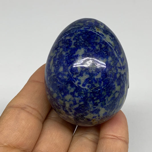 148.3g, 2.1"x1.7", Natural Lapis Lazuli Egg Polished @Afghanistan, B33318