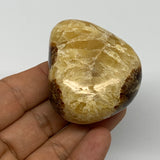 97.2g, 2.1"x1.9"x1.1", Septarian Nodule Palm-Stone Polished Reiki, B28229