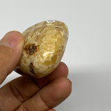 97.2g, 2.1"x1.9"x1.1", Septarian Nodule Palm-Stone Polished Reiki, B28229