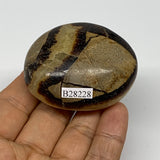 98.9g, 2.2"x1.8"x1.1", Septarian Nodule Palm-Stone Polished Reiki, B28228