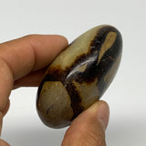 98.9g, 2.2"x1.8"x1.1", Septarian Nodule Palm-Stone Polished Reiki, B28228