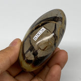 179g, 2.9"x2"x1.3", Septarian Nodule Palm-Stone Polished Reiki, B28226