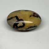 179g, 2.9"x2"x1.3", Septarian Nodule Palm-Stone Polished Reiki, B28226