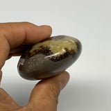 126.7g, 2.7"x1.9"x1.1", Septarian Nodule Palm-Stone Polished Reiki, B28225