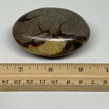 126.7g, 2.7"x1.9"x1.1", Septarian Nodule Palm-Stone Polished Reiki, B28225