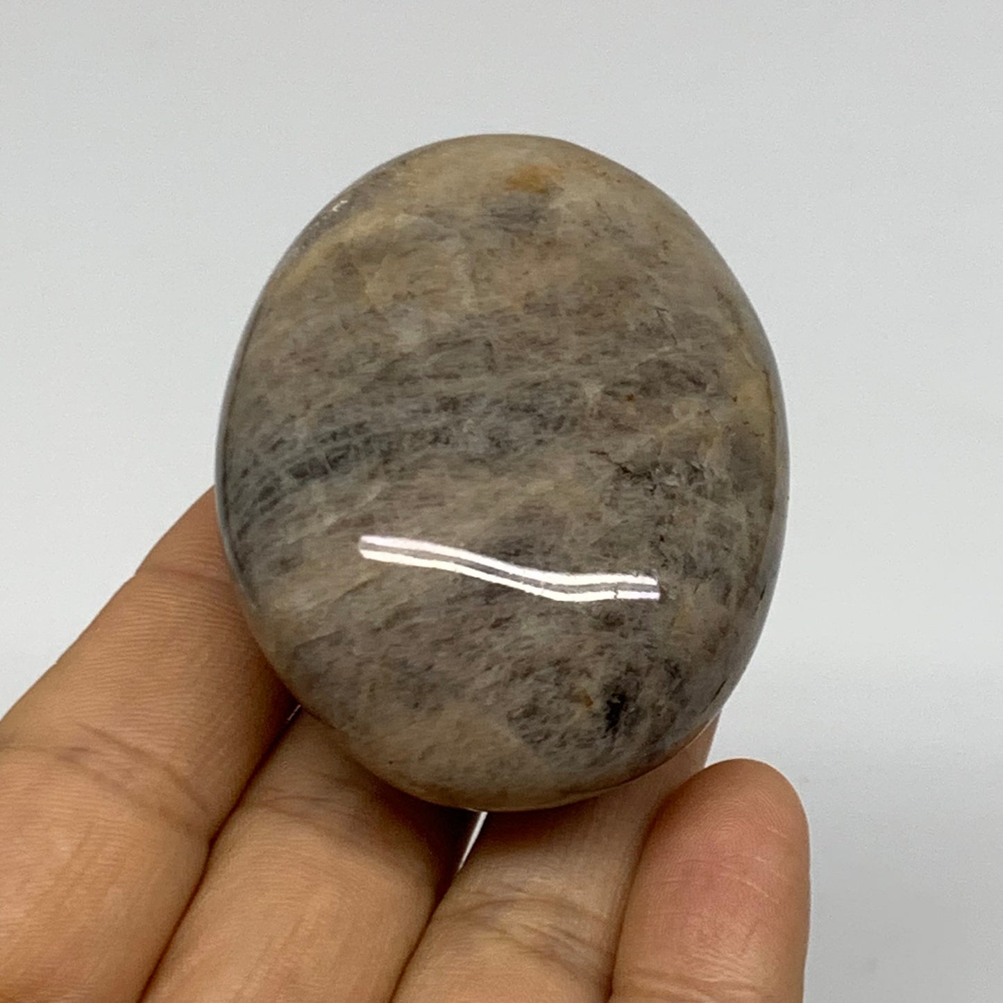 102.9g, 2.3"x1.8"x1.1",  Black Moonstone Crystal Palm-Stone Polished, B37756