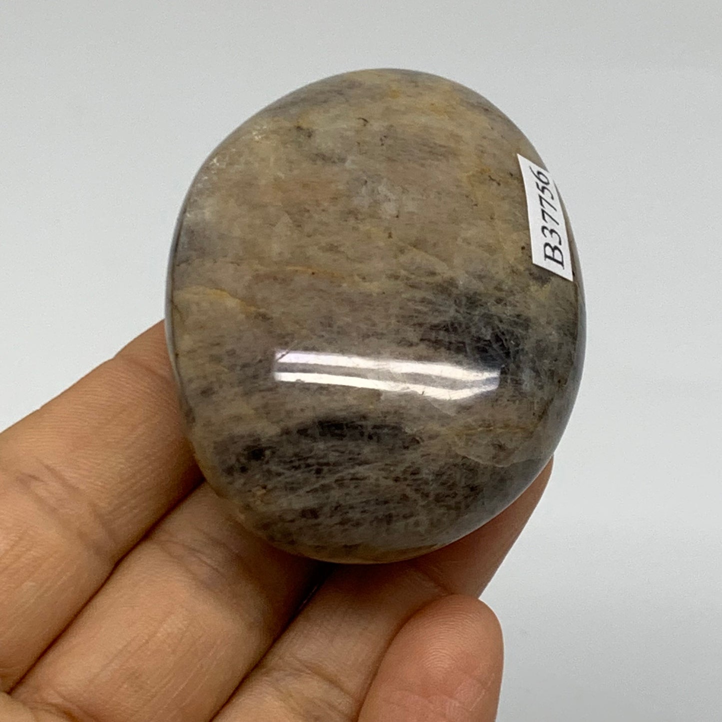 102.9g, 2.3"x1.8"x1.1",  Black Moonstone Crystal Palm-Stone Polished, B37756