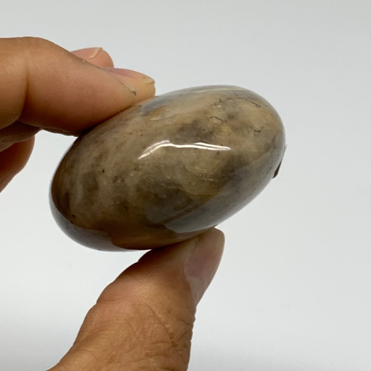 102.9g, 2.3"x1.8"x1.1",  Black Moonstone Crystal Palm-Stone Polished, B37756