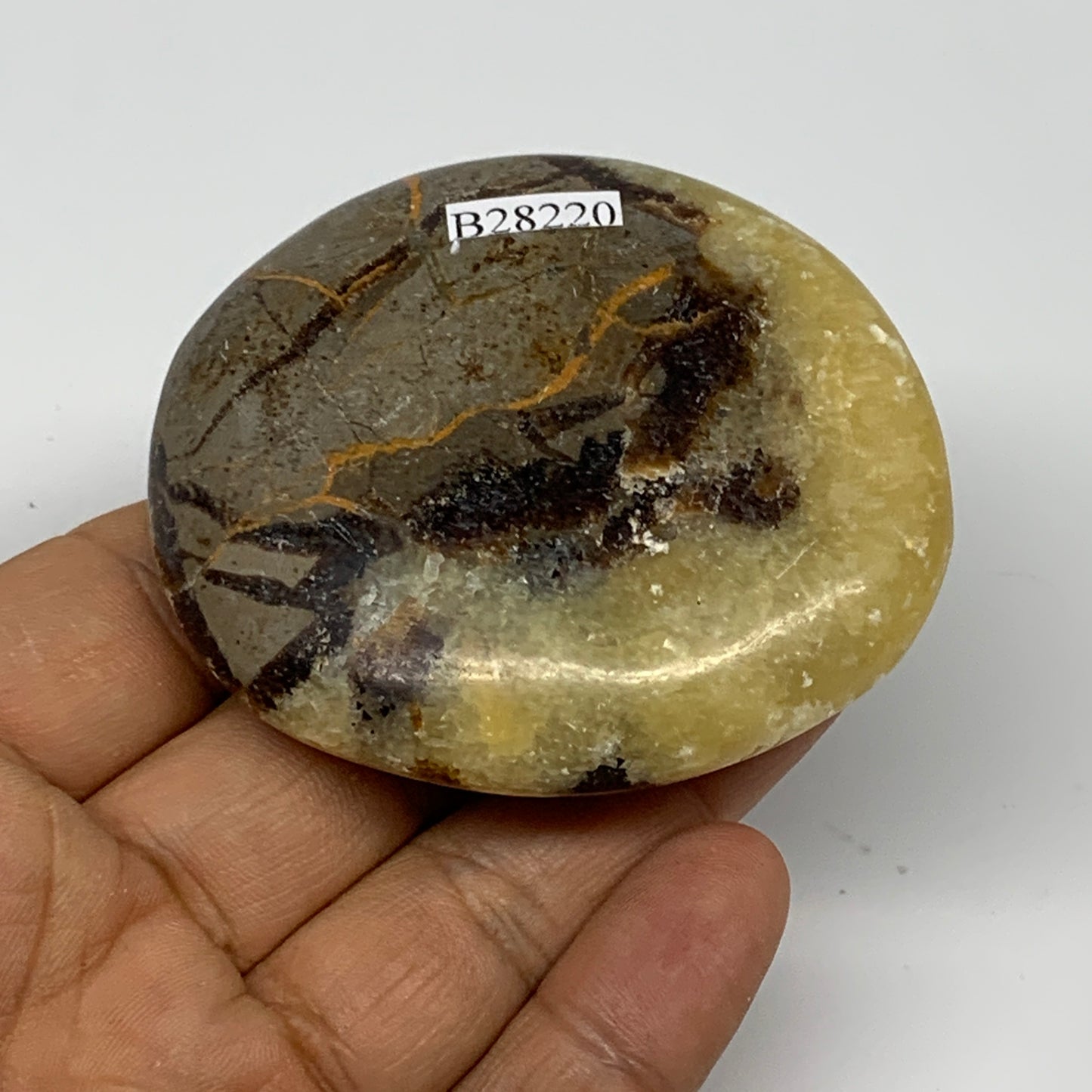 122.3g, 2.6"x2.3"x0.9", Septarian Nodule Palm-Stone Polished Reiki, B28220