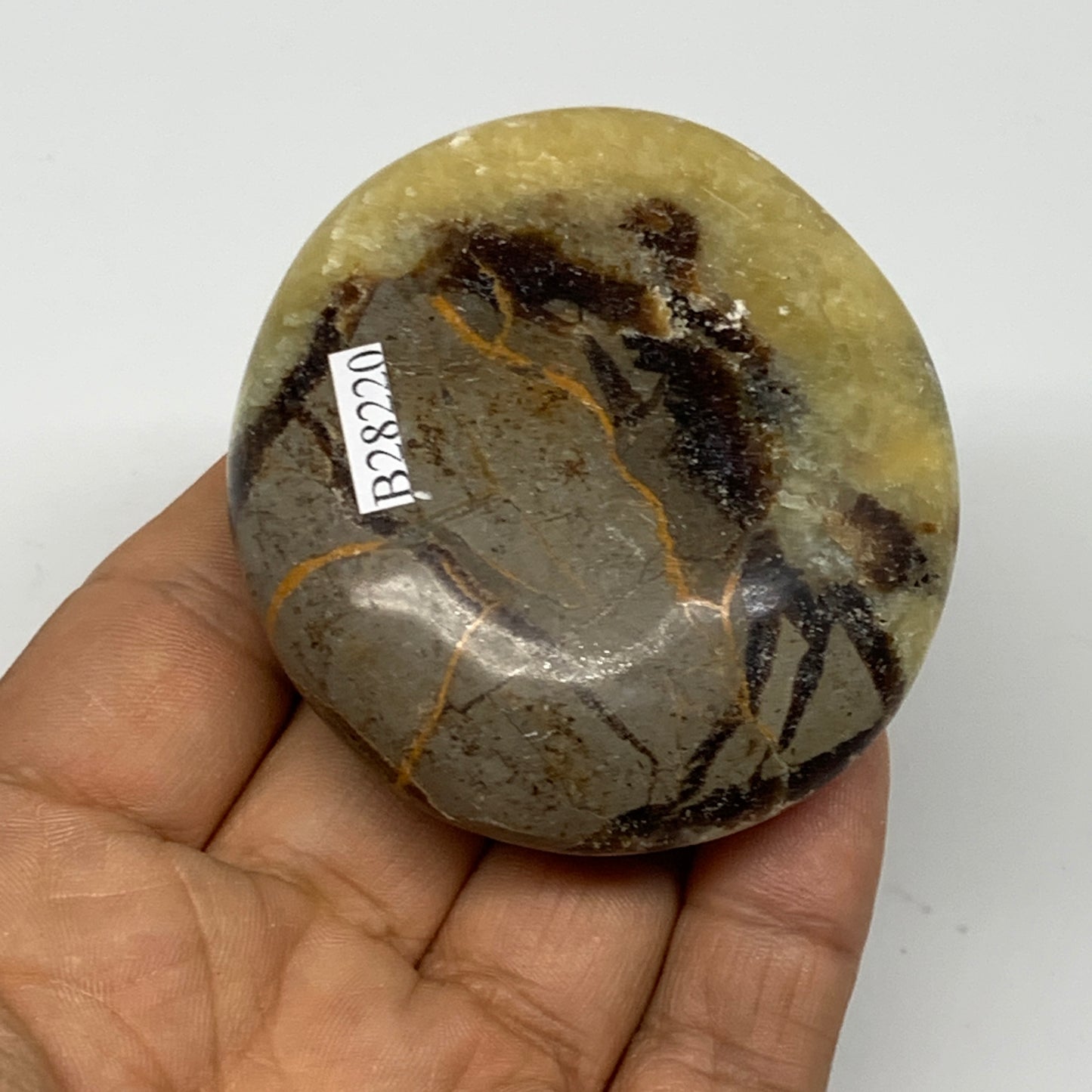 122.3g, 2.6"x2.3"x0.9", Septarian Nodule Palm-Stone Polished Reiki, B28220