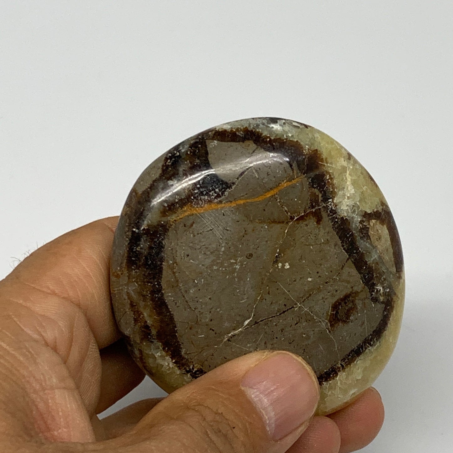 122.3g, 2.6"x2.3"x0.9", Septarian Nodule Palm-Stone Polished Reiki, B28220