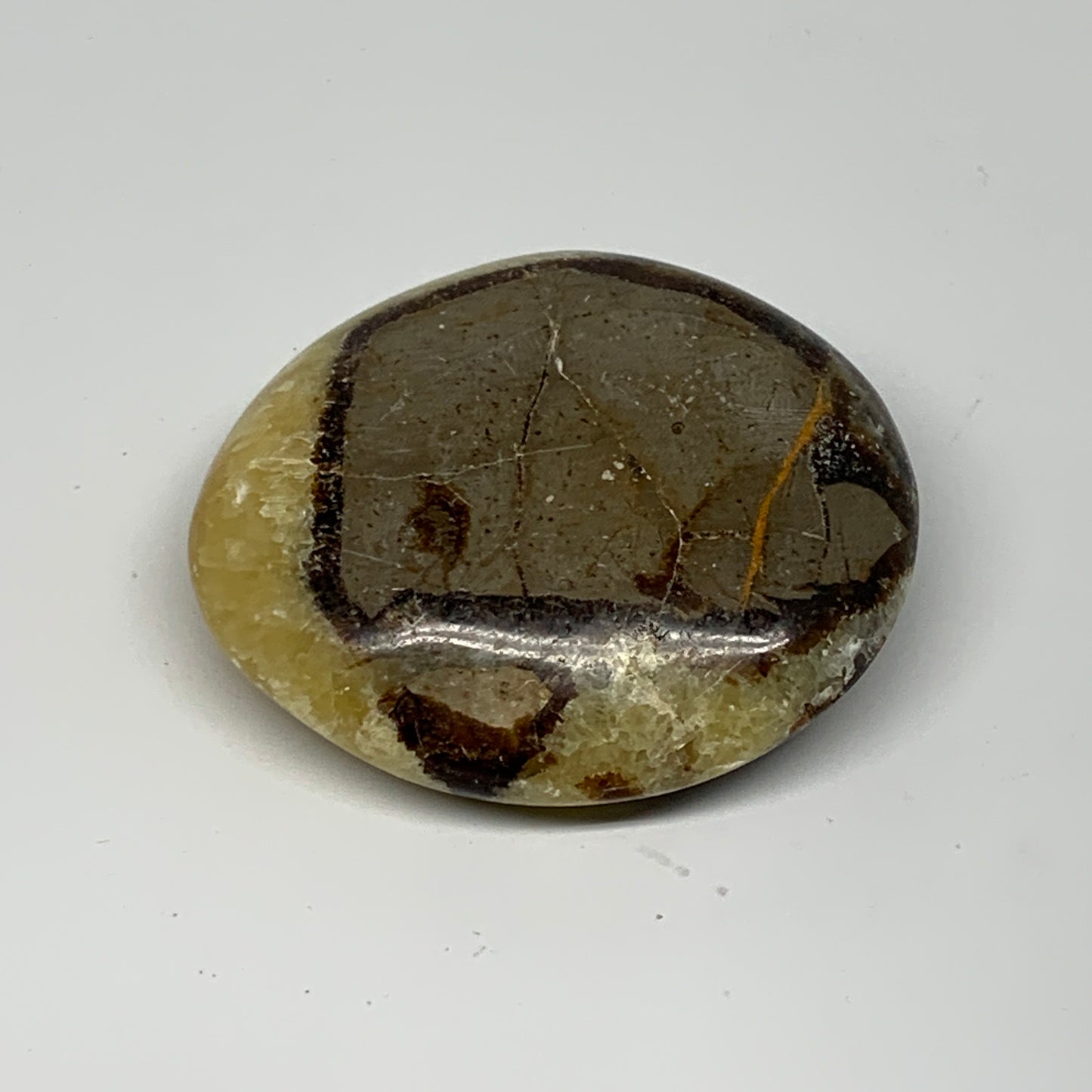 122.3g, 2.6"x2.3"x0.9", Septarian Nodule Palm-Stone Polished Reiki, B28220