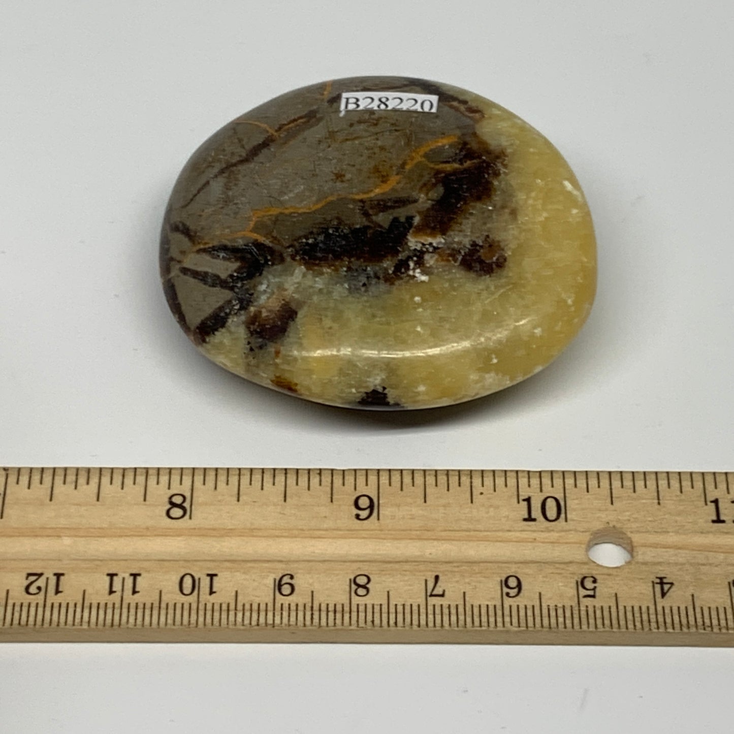 122.3g, 2.6"x2.3"x0.9", Septarian Nodule Palm-Stone Polished Reiki, B28220