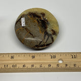 122.3g, 2.6"x2.3"x0.9", Septarian Nodule Palm-Stone Polished Reiki, B28220