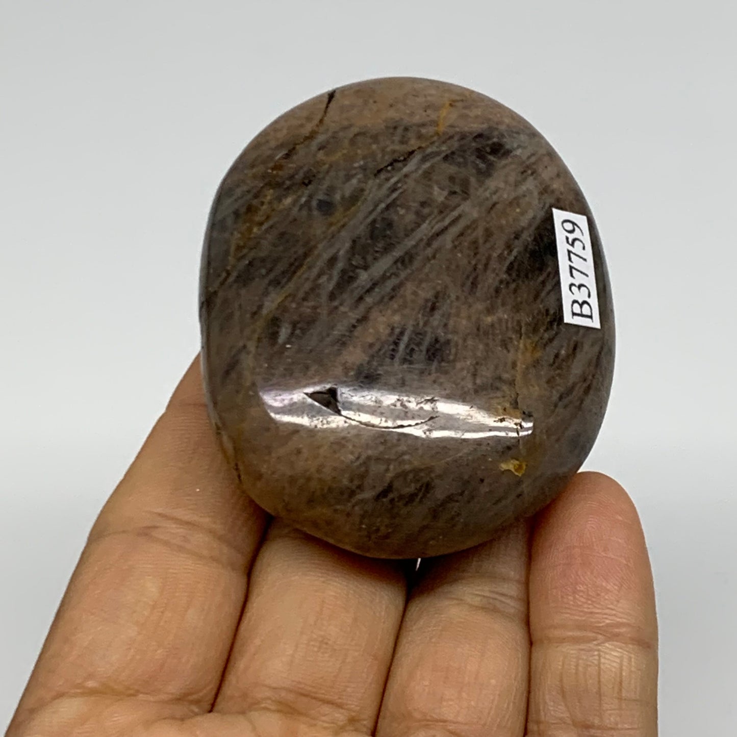 108.4g, 2.4"x1.9"x1",  Black Moonstone Crystal Palm-Stone Polished, B37759