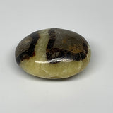 113g, 2.4"x1.8"x1.2", Septarian Nodule Palm-Stone Polished Reiki, B28216