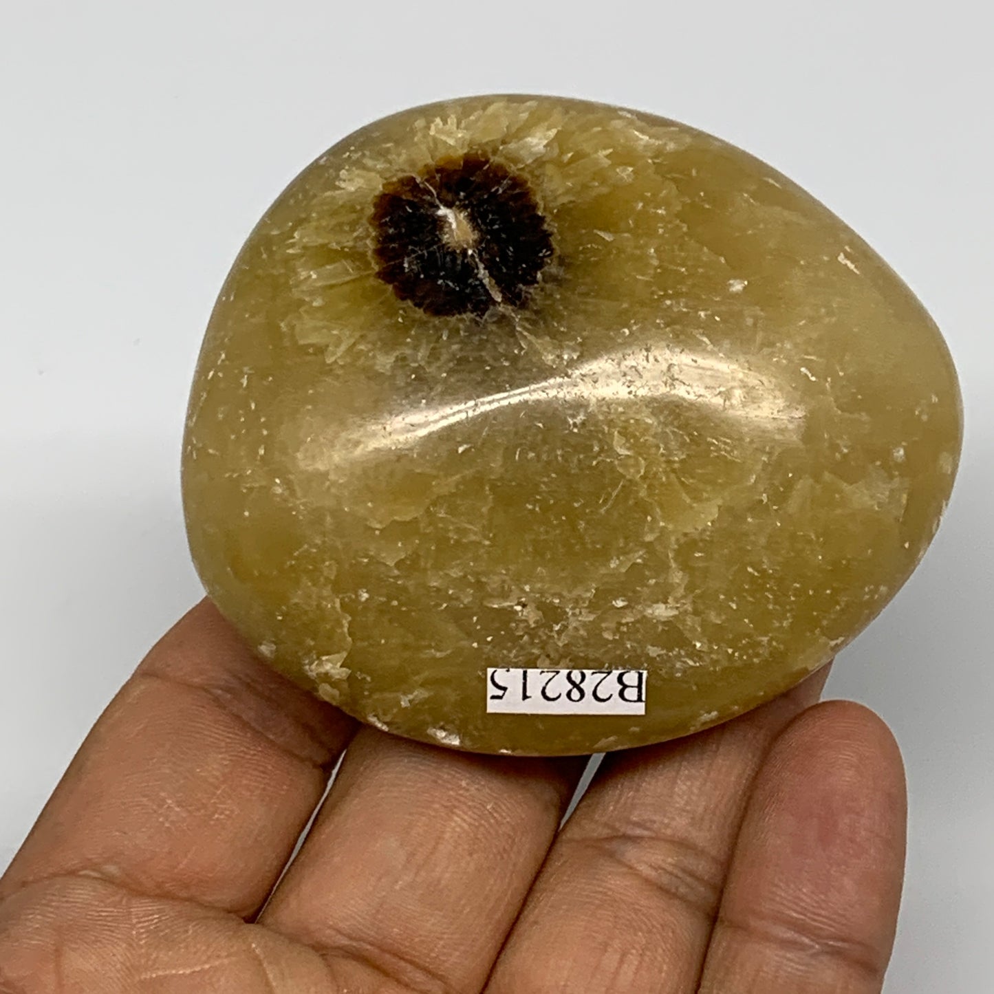 148.4g, 2.6"x2.3"x1.1", Septarian Nodule Palm-Stone Polished Reiki, B28215