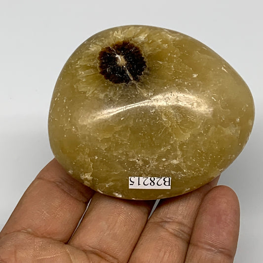 148.4g, 2.6"x2.3"x1.1", Septarian Nodule Palm-Stone Polished Reiki, B28215