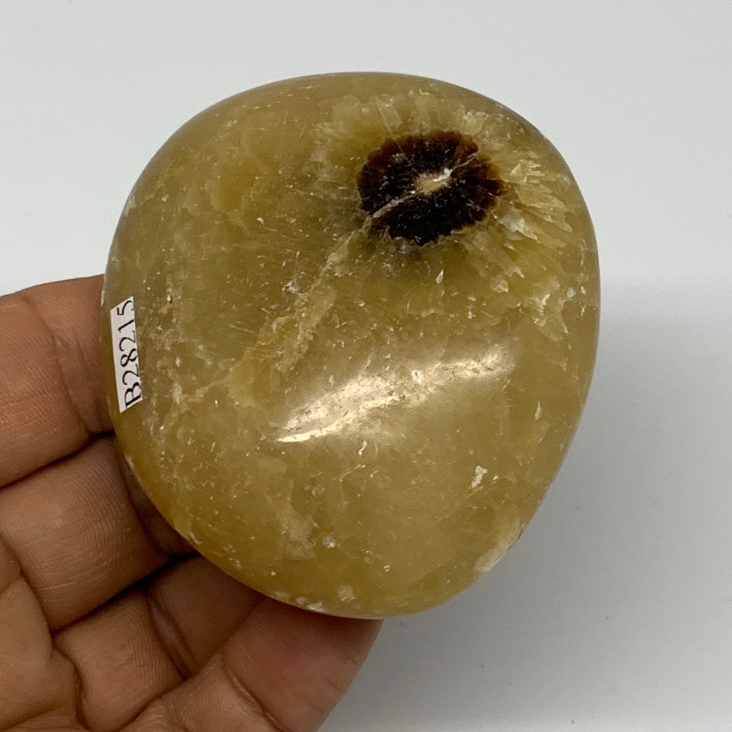148.4g, 2.6"x2.3"x1.1", Septarian Nodule Palm-Stone Polished Reiki, B28215