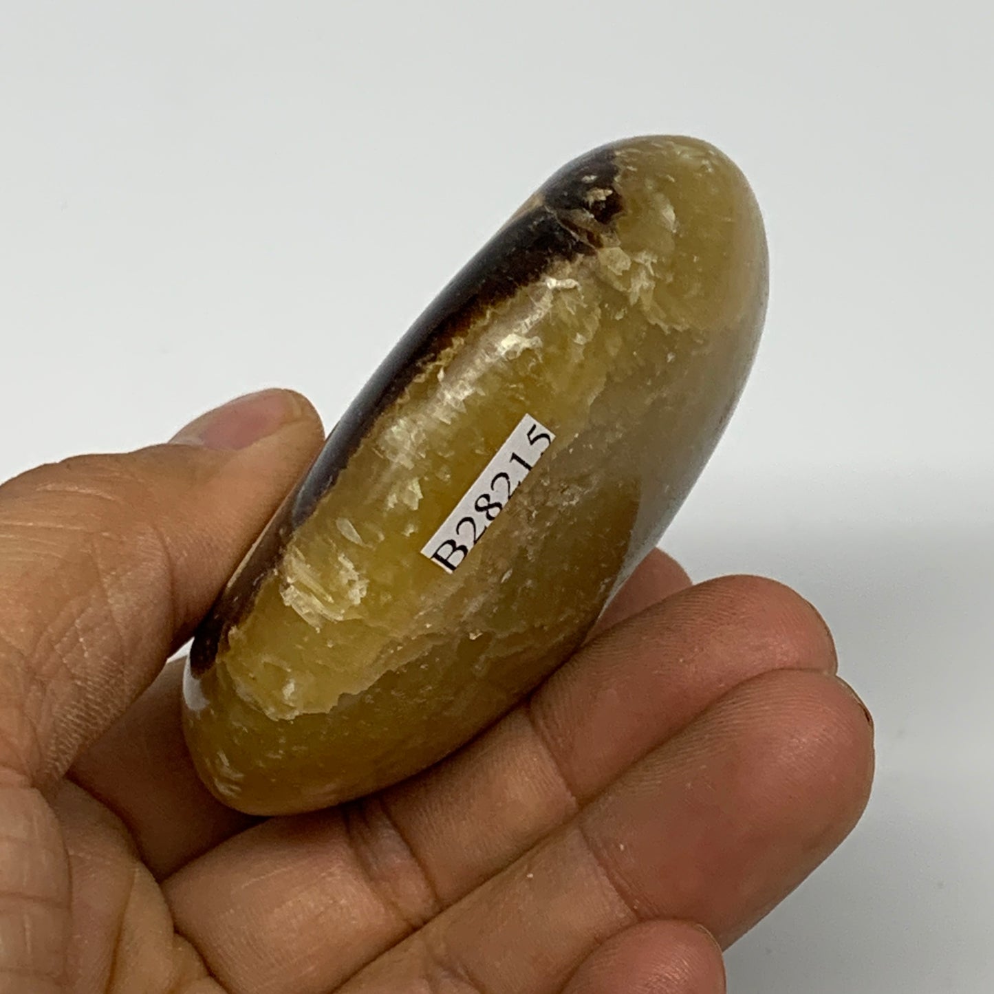 148.4g, 2.6"x2.3"x1.1", Septarian Nodule Palm-Stone Polished Reiki, B28215