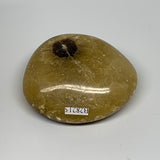 148.4g, 2.6"x2.3"x1.1", Septarian Nodule Palm-Stone Polished Reiki, B28215
