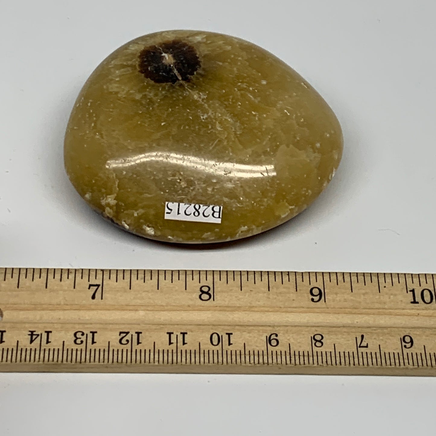 148.4g, 2.6"x2.3"x1.1", Septarian Nodule Palm-Stone Polished Reiki, B28215