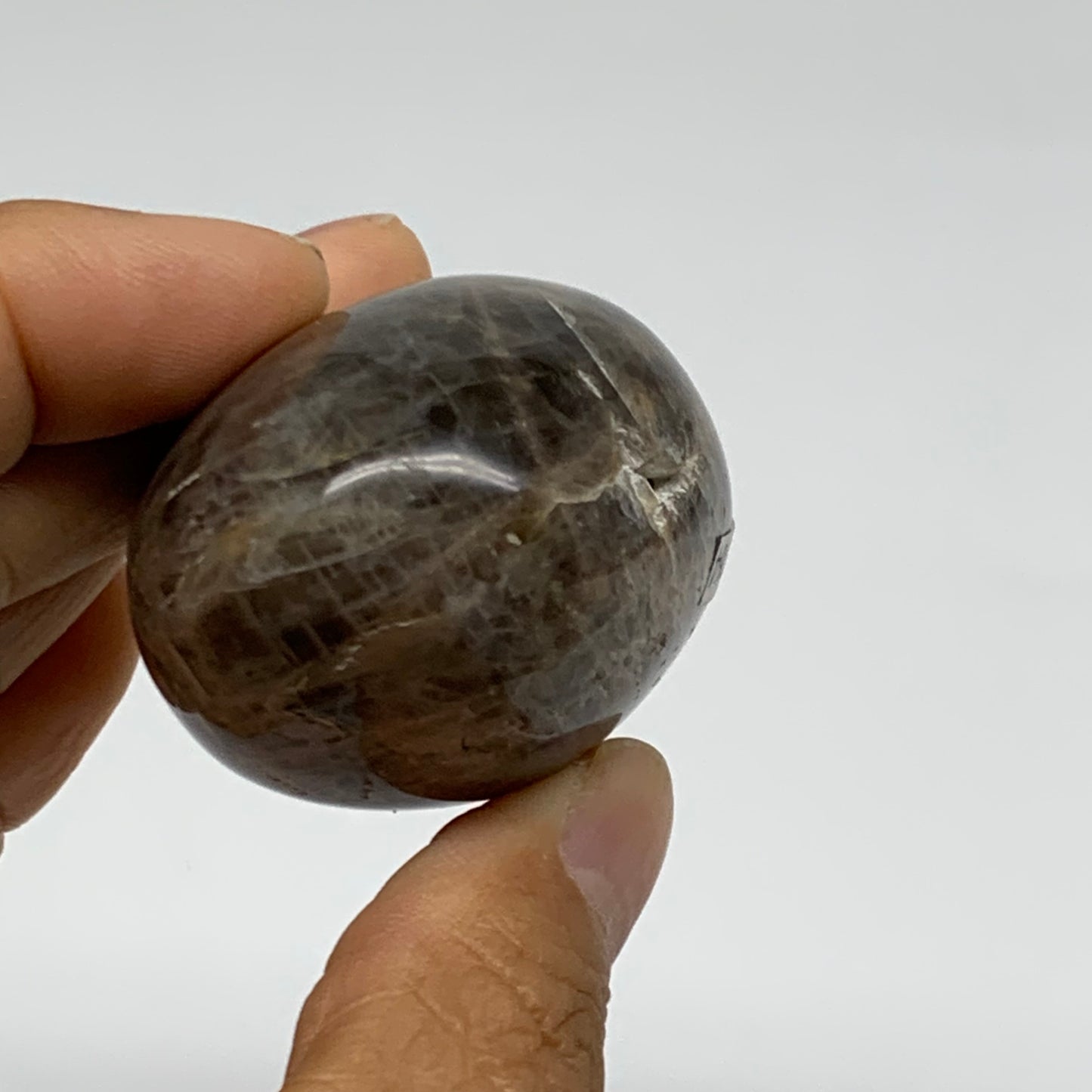 104.8g, 2.2"x1.6"x1.4",  Black Moonstone Crystal Palm-Stone Polished, B37764