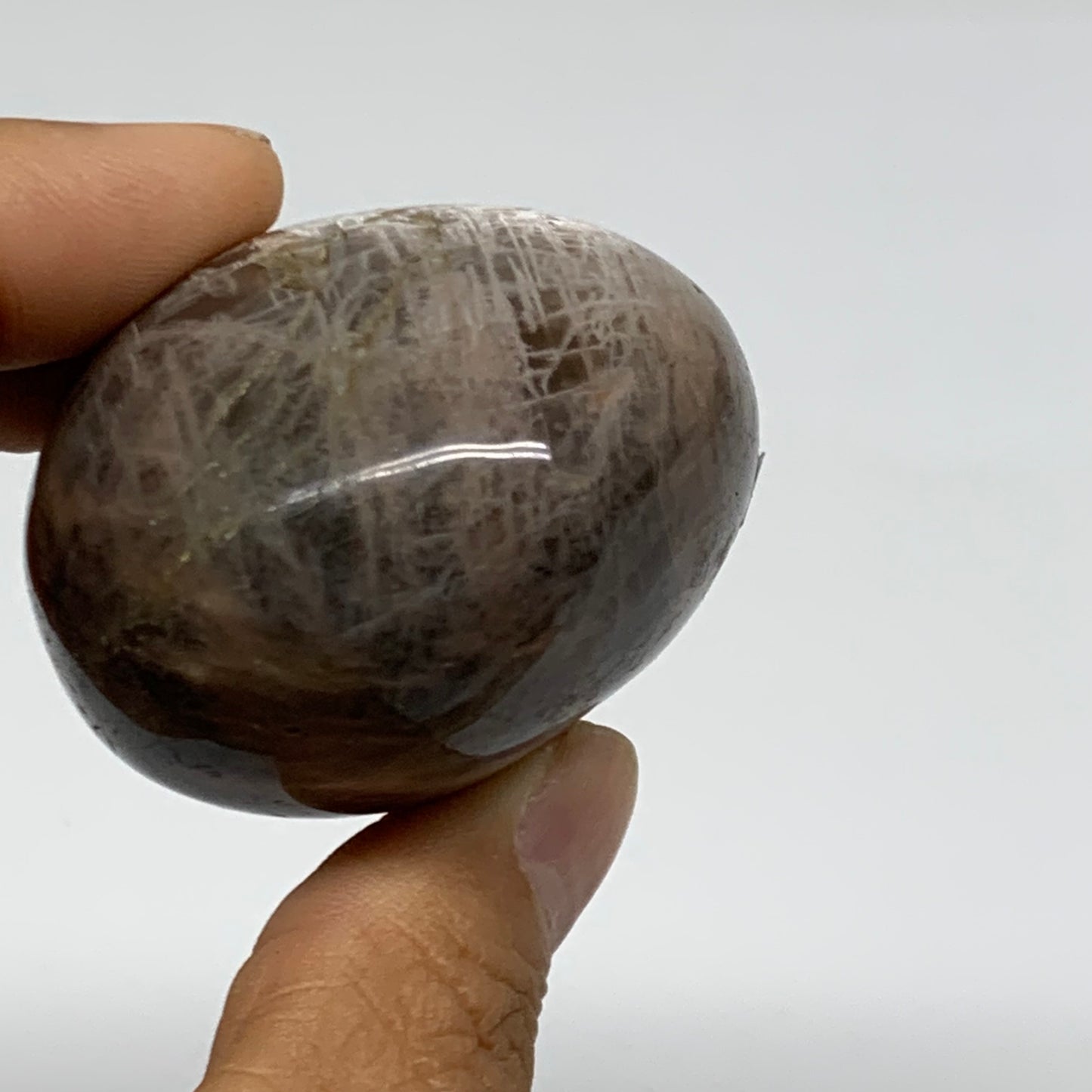 132.3g, 2.2"x1.9"x1.5",  Black Moonstone Crystal Palm-Stone Polished, B37767