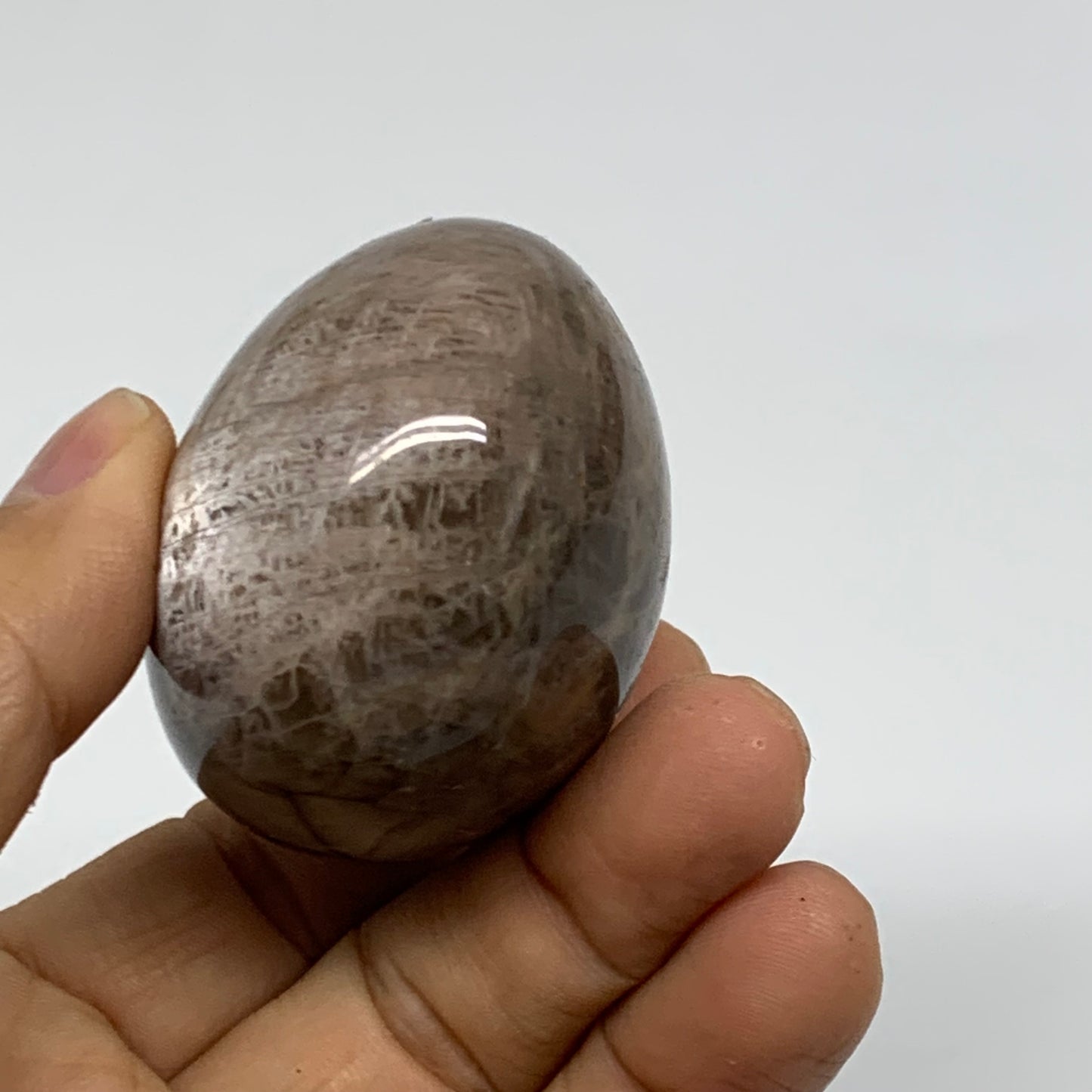 132.3g, 2.2"x1.9"x1.5",  Black Moonstone Crystal Palm-Stone Polished, B37767