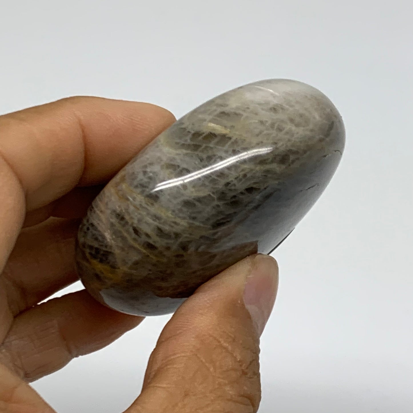 106.6g, 2.2"x2"x1",  Black Moonstone Crystal Palm-Stone Polished, B37768