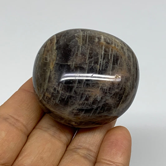 105.2g, 1.9"x1.8"x1.2",  Black Moonstone Crystal Palm-Stone Polished, B37771