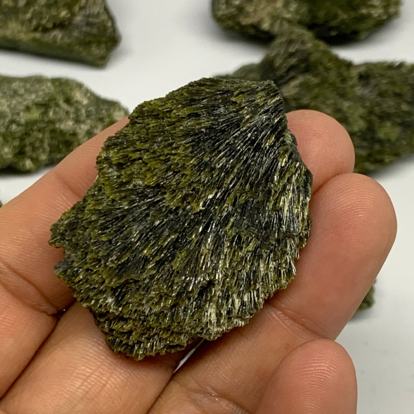 1.48 lbs, 1.5"-2.5", 15pcs,Green Epidote Leaf/Cluster Minerals Specimens,B27483