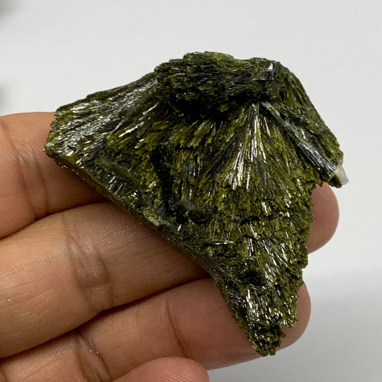 1.48 lbs, 1.5"-2.5", 15pcs,Green Epidote Leaf/Cluster Minerals Specimens,B27483