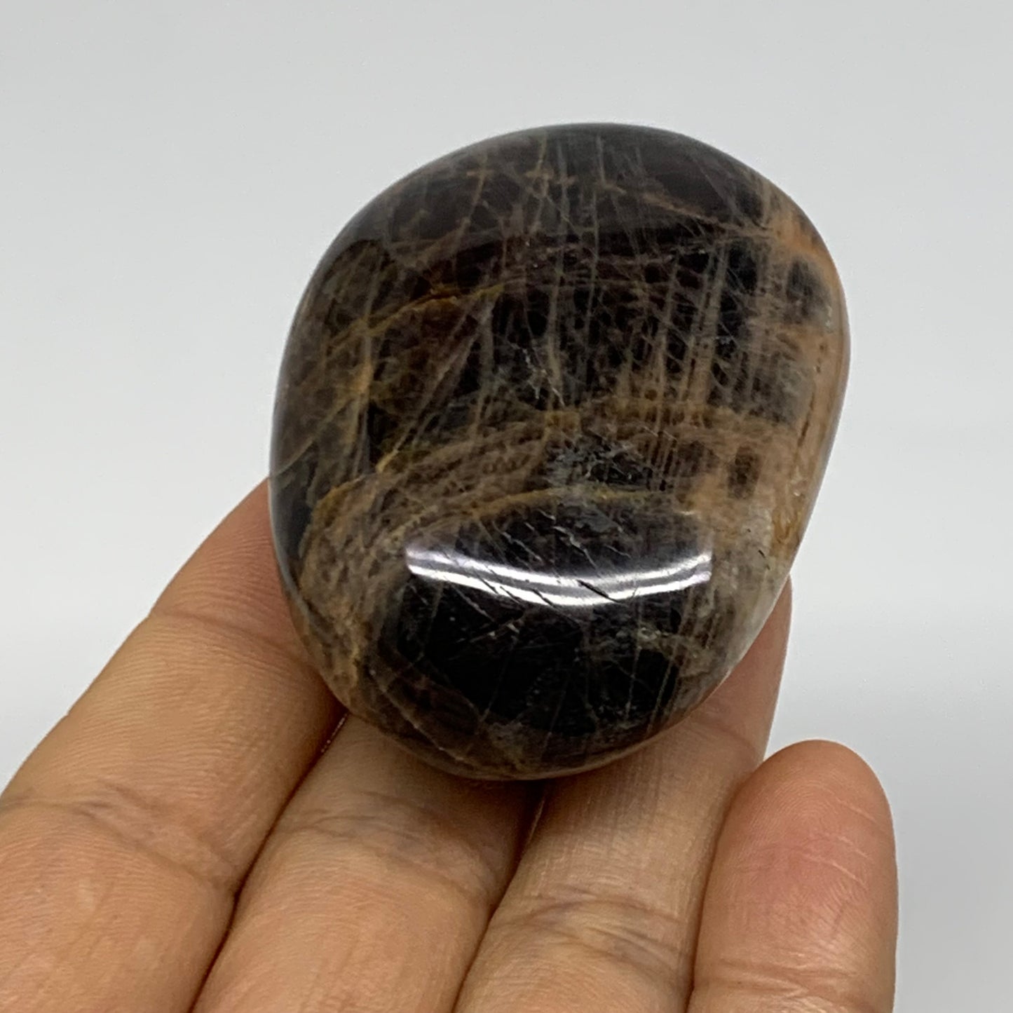 90.3g, 2.3"x1.7"x1",  Black Moonstone Crystal Palm-Stone Polished, B37772