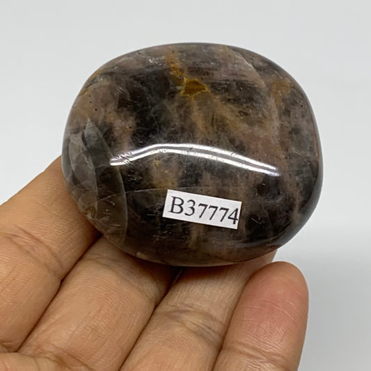 87.9g, 2"x1.8"x1.1",  Black Moonstone Crystal Palm-Stone Polished, B37774