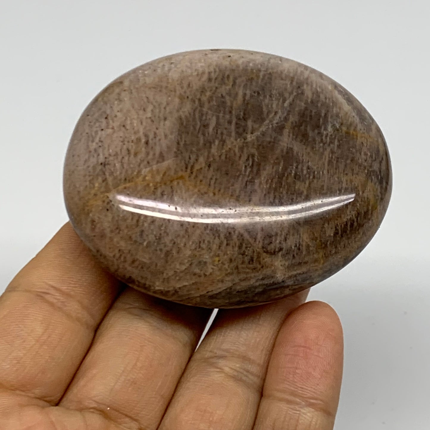 113.8g, 2.5"x2.1"x0.9",  Black Moonstone Crystal Palm-Stone Polished, B37775