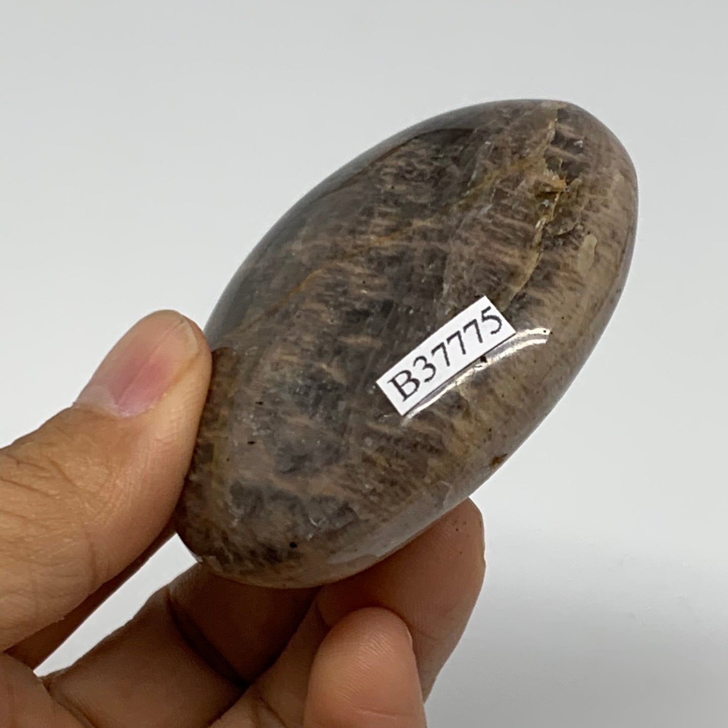 113.8g, 2.5"x2.1"x0.9",  Black Moonstone Crystal Palm-Stone Polished, B37775