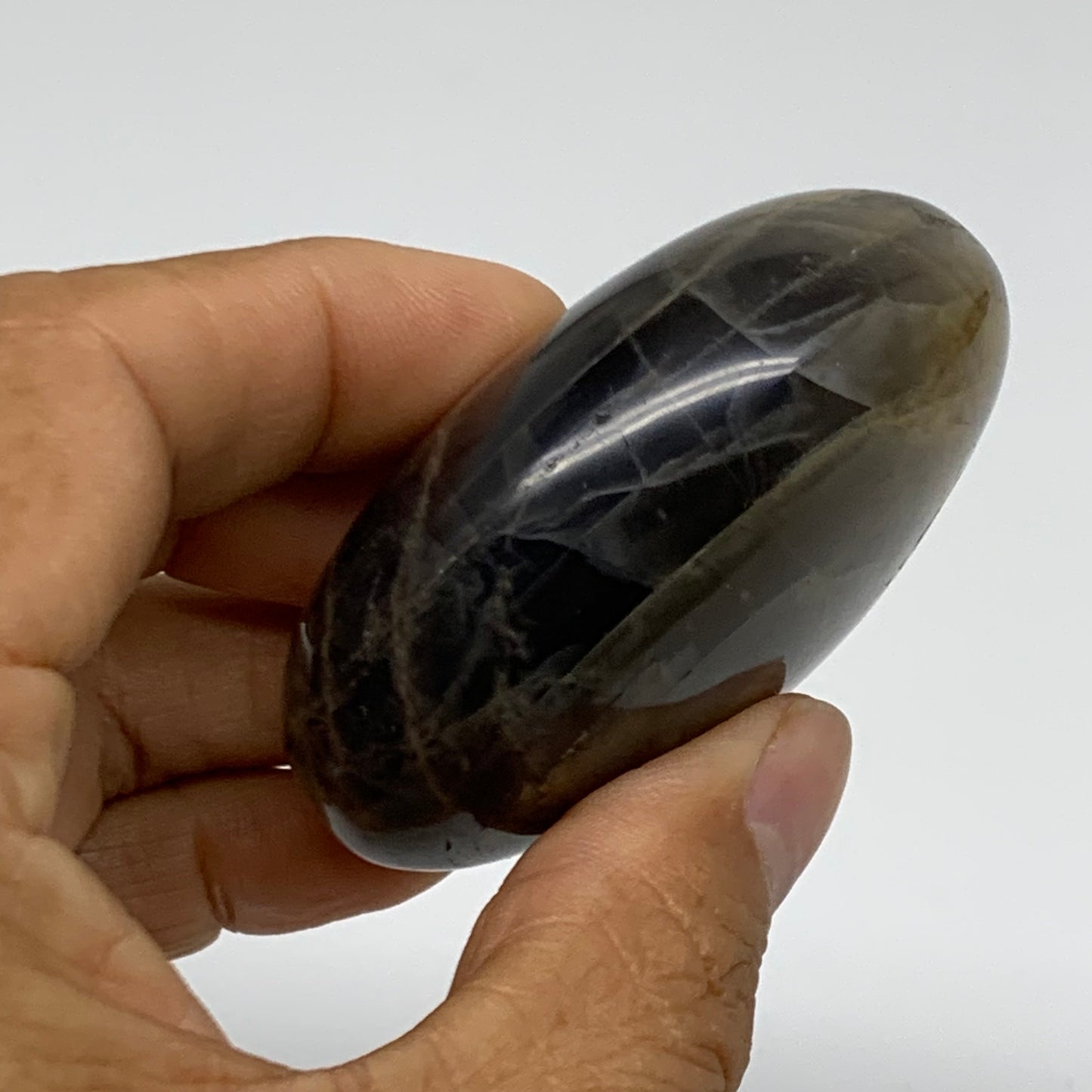 118.6g, 2.4"x1.9"x1.1",  Black Moonstone Crystal Palm-Stone Polished, B37776
