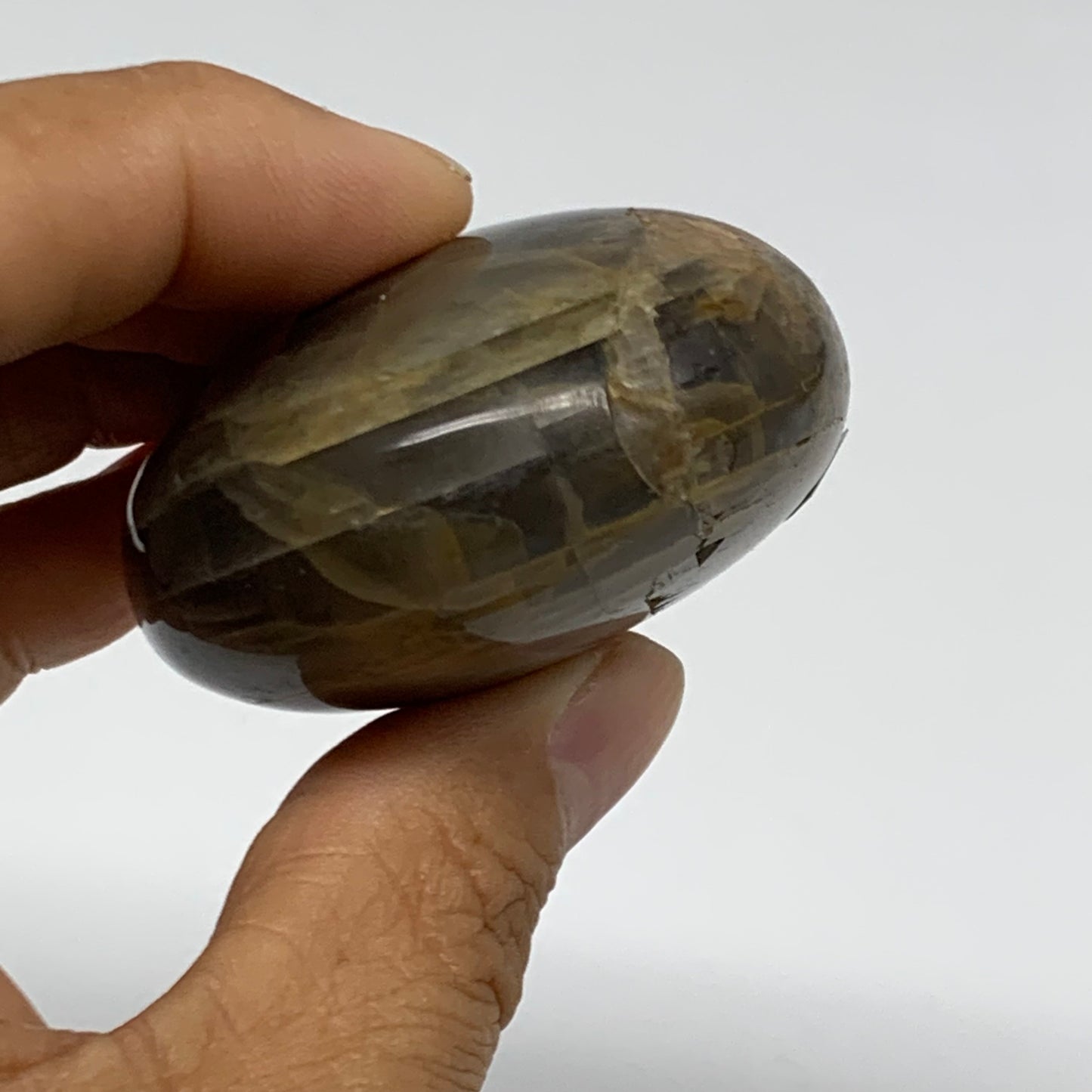 118.6g, 2.4"x1.9"x1.1",  Black Moonstone Crystal Palm-Stone Polished, B37776