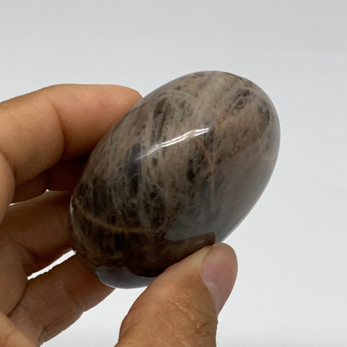 131g, 2.2"x2.2"x1.2",  Black Moonstone Crystal Palm-Stone Polished, B37777