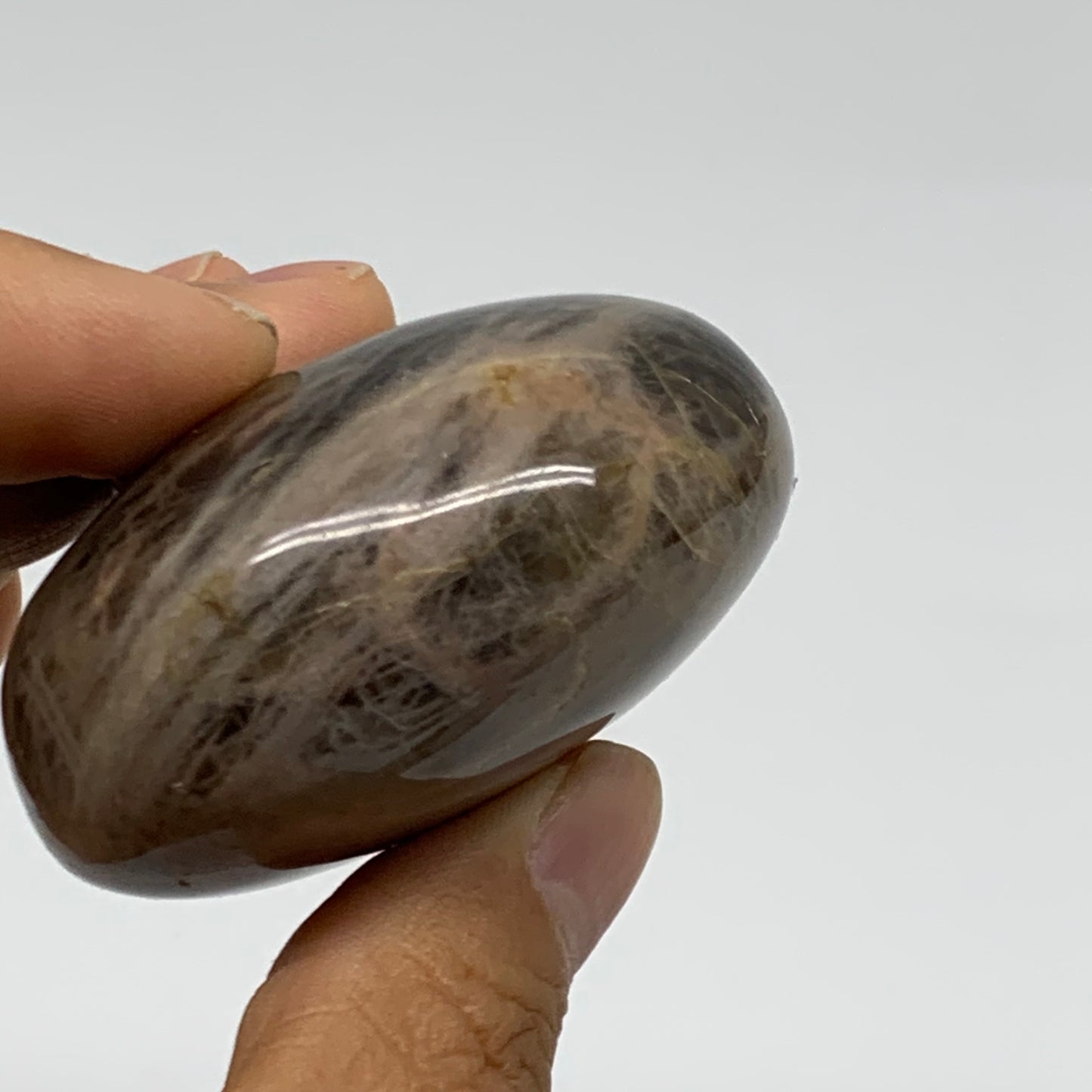 131g, 2.2"x2.2"x1.2",  Black Moonstone Crystal Palm-Stone Polished, B37777