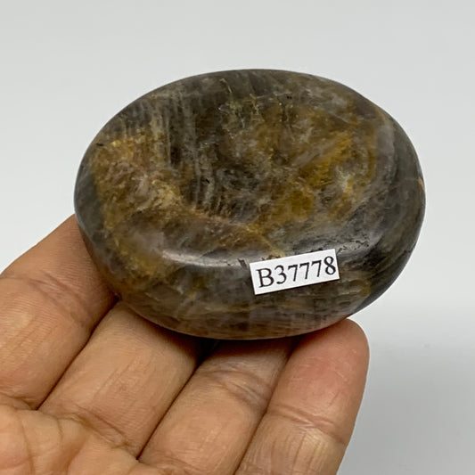97g, 2.4"x2.1"x0.8",  Black Moonstone Crystal Palm-Stone Polished, B37778