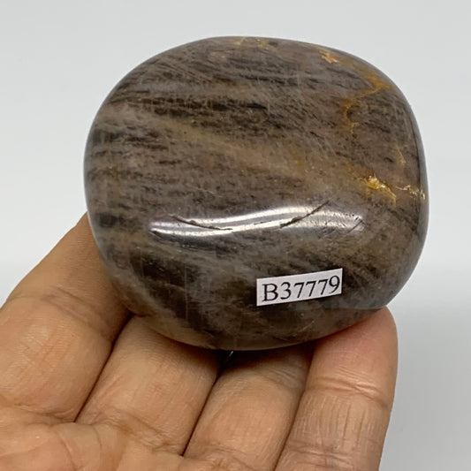 164.7g, 2.3"x2.2"x1.3",  Black Moonstone Crystal Palm-Stone Polished, B37779