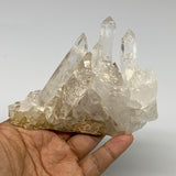 238.2g, 3.5"x4.3"x1.8", Quartz Crystal Cluster Mineral,Specimen Terminated, B290