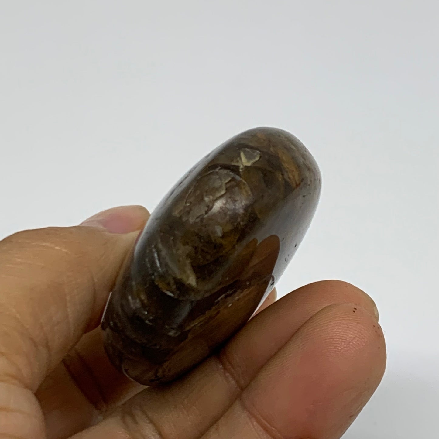 85g, 2.3"x1.8"x0.8",  Black Moonstone Crystal Palm-Stone Polished, B37792